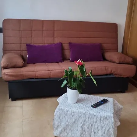 Daire Revolta Noalla (Pontevedra)